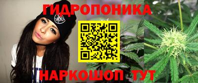 стафф Кимры