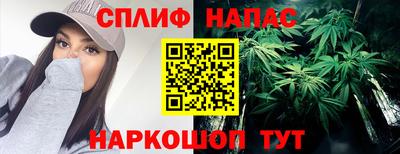 шишки Кингисепп