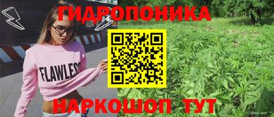 соль ск Кинель