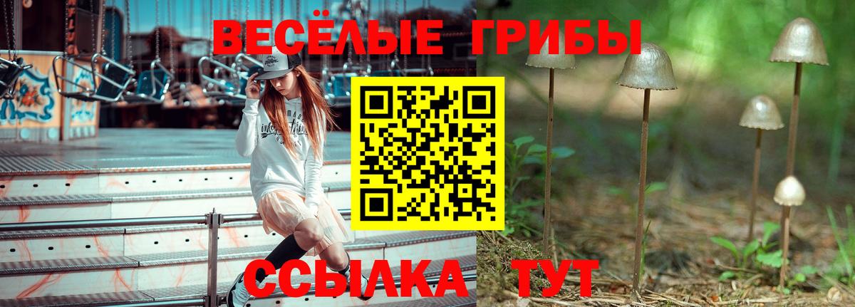 Касимов  Псилоцибиновые грибы Cubensis  Вход с VPN 